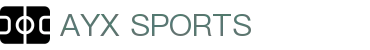 AYX·爱游戏「中国」官方网站_AYX GAME